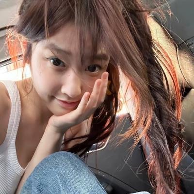 一个叫欧维的男人决定去死